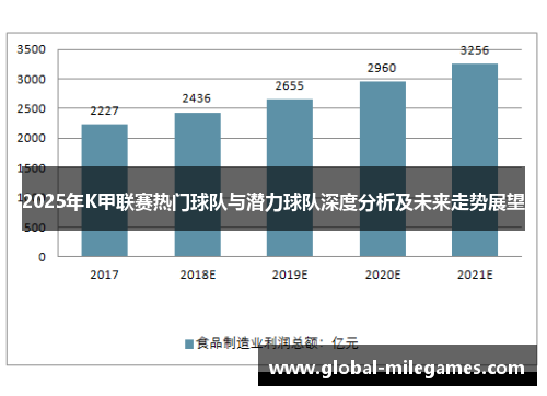 2025年K甲联赛热门球队与潜力球队深度分析及未来走势展望