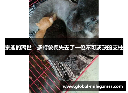 泰迪的离世：多特蒙德失去了一位不可或缺的支柱