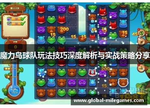 魔力鸟球队玩法技巧深度解析与实战策略分享